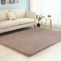 Click here for Rugs